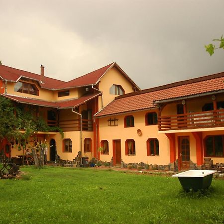 Arts And Crafts Guesthouse Baia Sprie Exterior foto